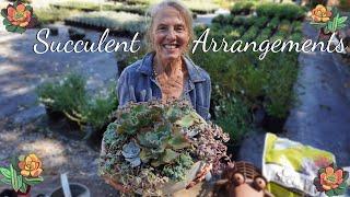  Create A Spectacular Succulent Arrangement! 
