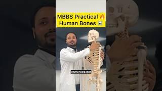 MBBS 1st Year Practicals️ | NEET Motivation  #mbbs #neet #neetmotivation #aiims #doctor #viral