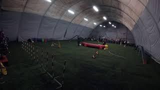 Аверьянов Константин (eMotionDogs Agility) Гандикап, Аджилити Манеж