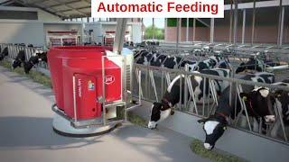 Lely Vector - Improve the feeding kitchen in farming via innovation and technology - Animation - EN