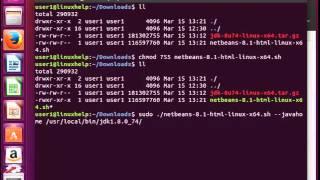 How to install Netbeans and Java JDK in Ubuntu