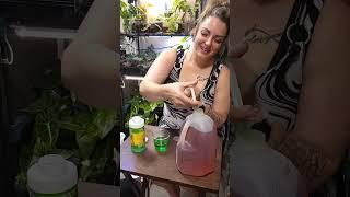 Nutrient Water Semi-hydroponics