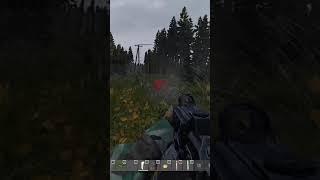 По лицу от медведя DayZ