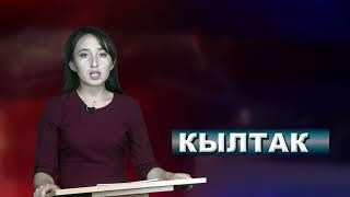 КЫЛТАК- Мыйзамга баш ийбеген айдоочуларга карата чаралар