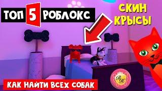 ТОП-5 ИГРА РОБЛОКС 2021 - Роял Хай | Royale High roblox | Как получить скин крысы и ТОП наряд