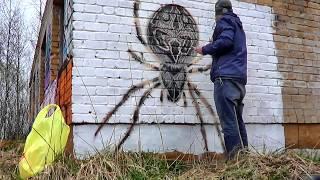 Spray painted spider on wall | Graffiti art