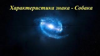 Характеристика знака - Собака