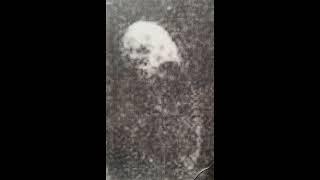 Xenoglossis (US) - Tergum Ambulare (Demo 2013)