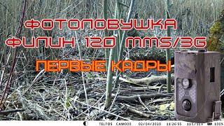 Фотоловушка Филин 120 MMS/3G .Первые кадры