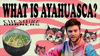 CHESHIRE CORNERS: WHAT IS AYAHUASCA? (CAAPI, YAGE, AYAGUASCA, DMT TEA)