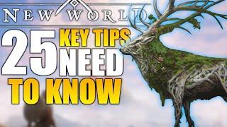 New World 25+ Tips You NEED To Know! - NEW WORLD MMO