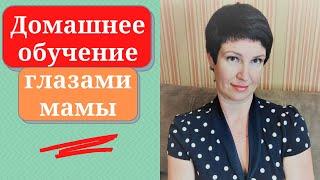 Как организовать семейное обучение дома без педагогического образования