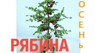 ОСЕННЯЯ РЯБИНА из БИСЕРА. Часть 1/2. Autumn tree out of beads. БИСЕРОПЛЕТЕНИЕ для НАЧИНАЮЩИХ