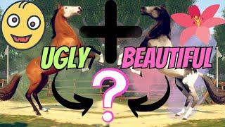 UGLY + BEAUTIFUL = CRAZY FOALS?! RIVAL STARS HORSE RACING BREEDING!