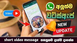 Whatsapp New update 2023 | Whatsapp Short video message update sinhala | SL Academy