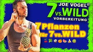 7 PFLANZEN für 7vs.Wild Staffel 1-7 Das findest Du IMMER und zwar an jedem SPOT. (Fast) Garantiert.