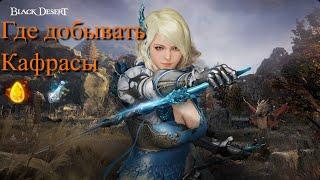 Black Desert / BD: Где добывать Кафрасы (Способы получения)