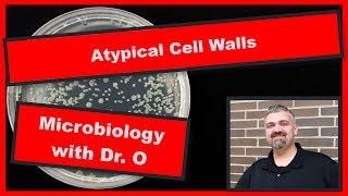 Atypical Cell Walls:  Microbiology