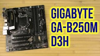 Распаковка Gigabyte GA-B250M-D3H