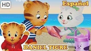 Daniel Tigre en Español - Juega con Catalina  | Videos para Niños