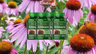 45 evidenzbasierte Vorteile von Echinacea