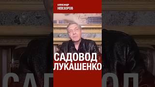 Орешник для лукашенко #невзоров