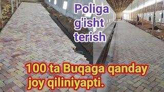 Молхона полига пишган гишт териш Molxona poliga pishgan g'isht terish