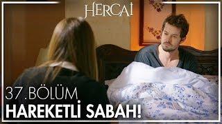 Elinden geleni ardında koyma - Hercai 37. Bölüm