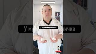 У мужчин одинаковые Яйца?  #shorts