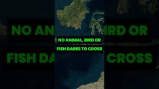 No Animals Dare To Cross This Invisible Line  #geography #facts #shorts