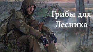 Прохождение S.T.A.L.K.E.R.: Золотой Обоз 2.#1(Лесник и Мухоморы)