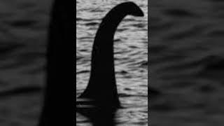 Could Nessie be real? ️ #shorts