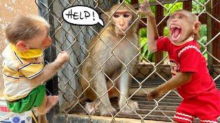 The rescue of the monkey TiTi and the haunting encounter through bars