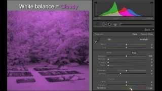 Color channels in infrared photos