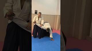 #aikido #fight #defence #sensei #martialarts #aikidobarbera#artesmarciales #aikidotechniques #fpy