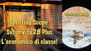 Spotting Scope Svbony sv 28 the economical class!