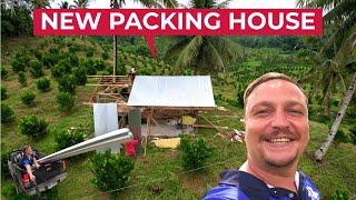 Building NEW PACKING HOUSE At The Farm! Calamansi Recognised By Philippines Government!