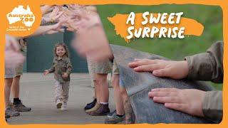 Grace's afternoon at Australia Zoo | Irwin Family Adventures