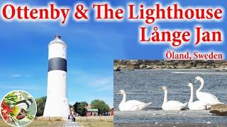 Ottenby and The Lighthouse Långe Jan : Öland Sweden