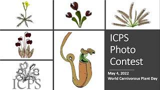 International Carnivorous Plant Society's Annual Photo Contest