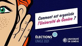 Comment est organisée l'Université de Genève ?