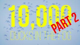 HIGDON OUTDOORS TV - 1009 - "10,000 Ducks in the Fog Part 2"