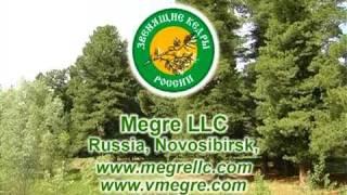 The video presentation of company Megre LLC