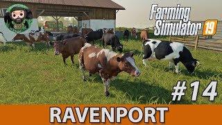 Farming Simulator 19 : Рейвенпорт #14 | Коровы