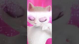 KITTY Cat - cat food with DIVA-EFFECT