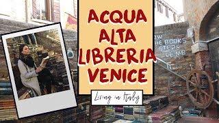 Acqua Alta Library, The Famous Bookshop in Venice Italy