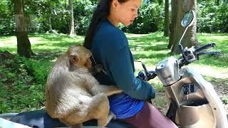 SP&other climb on a scooter asking for food from KT, they riding a motorcycle look absolutely lovely