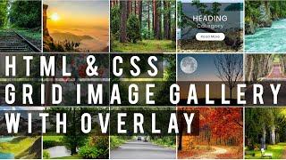 CSS Grid Image Gallery With Overlay On Hover | HTML5 & CSS3