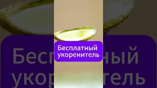 Бесплатный укоренитель #черенкование #дача  #сад  #черенки  #огород