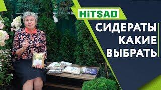 Какие Сидераты выбрать  Всё о Сидератах   Улучшаем почву с  Хитсад ТВ